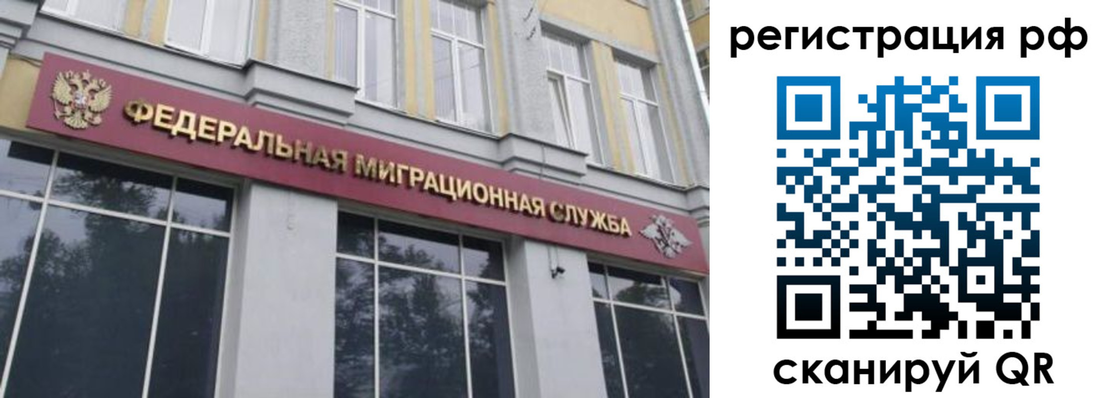 прописка законно в Светлом