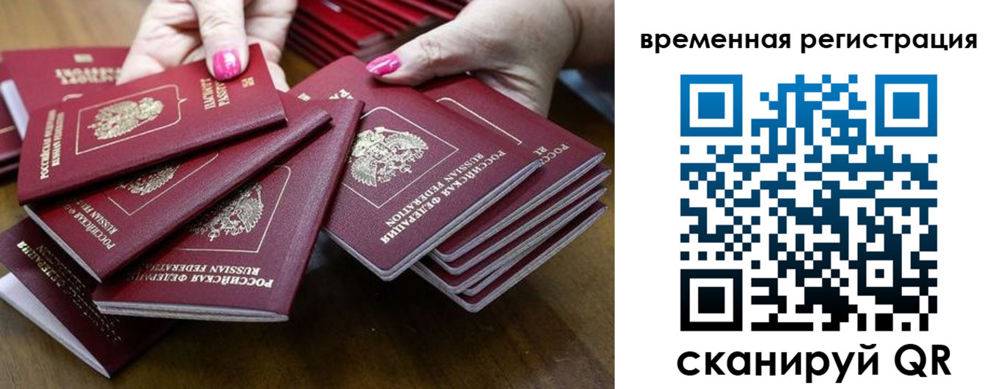 временная регистрация поиск в Светлом